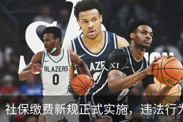社保缴费新规正式实施，违法行为将受到严惩